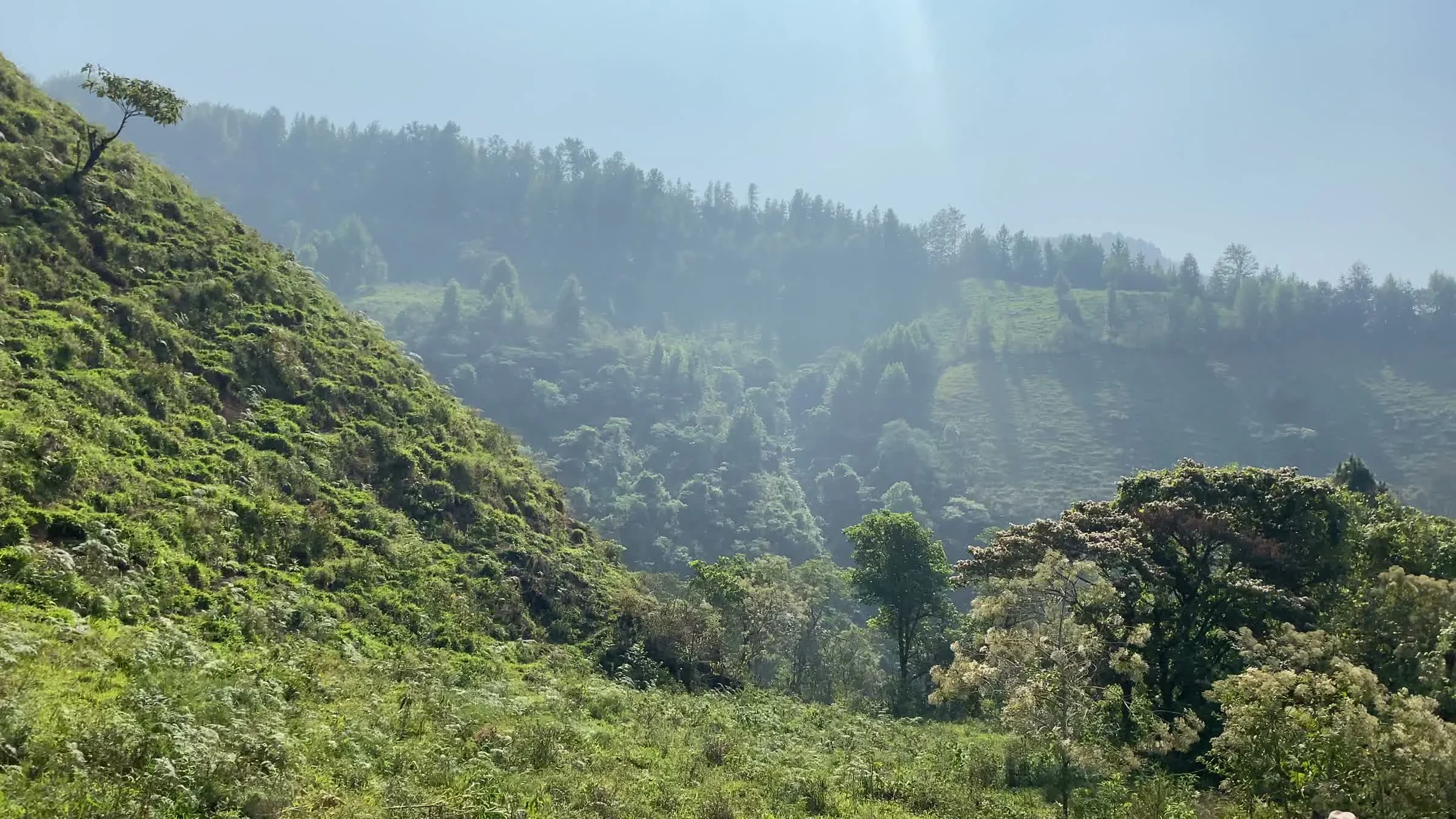 A panoramic view across the high valleys and mountains of the Sierra Mixe in Oaxaca
